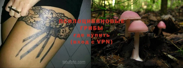 спайс Инта