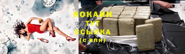 дмт Инсар