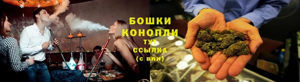 спайс Инта