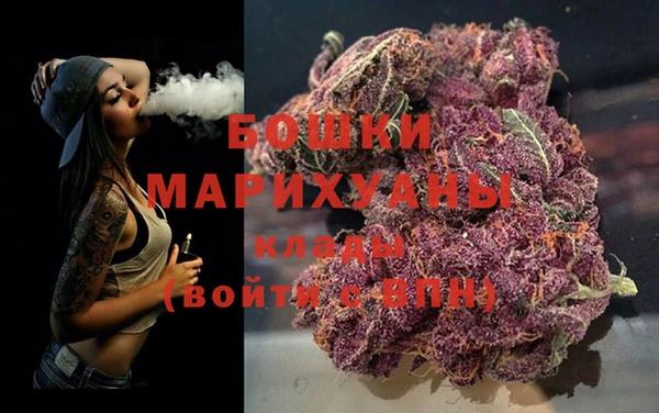 спайс Инта