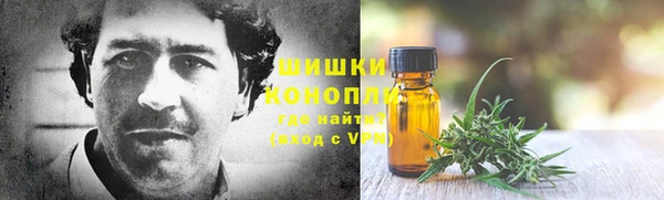 дмт Инсар