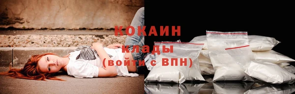 спайс Инта