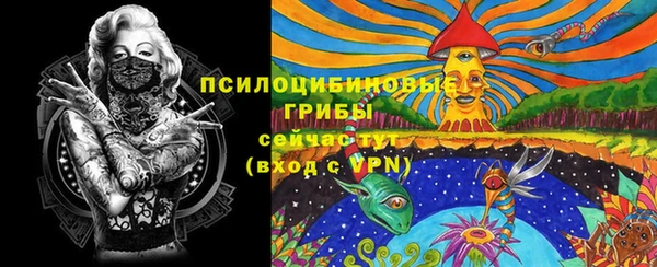 дмт Инсар