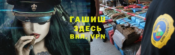 дмт Инсар